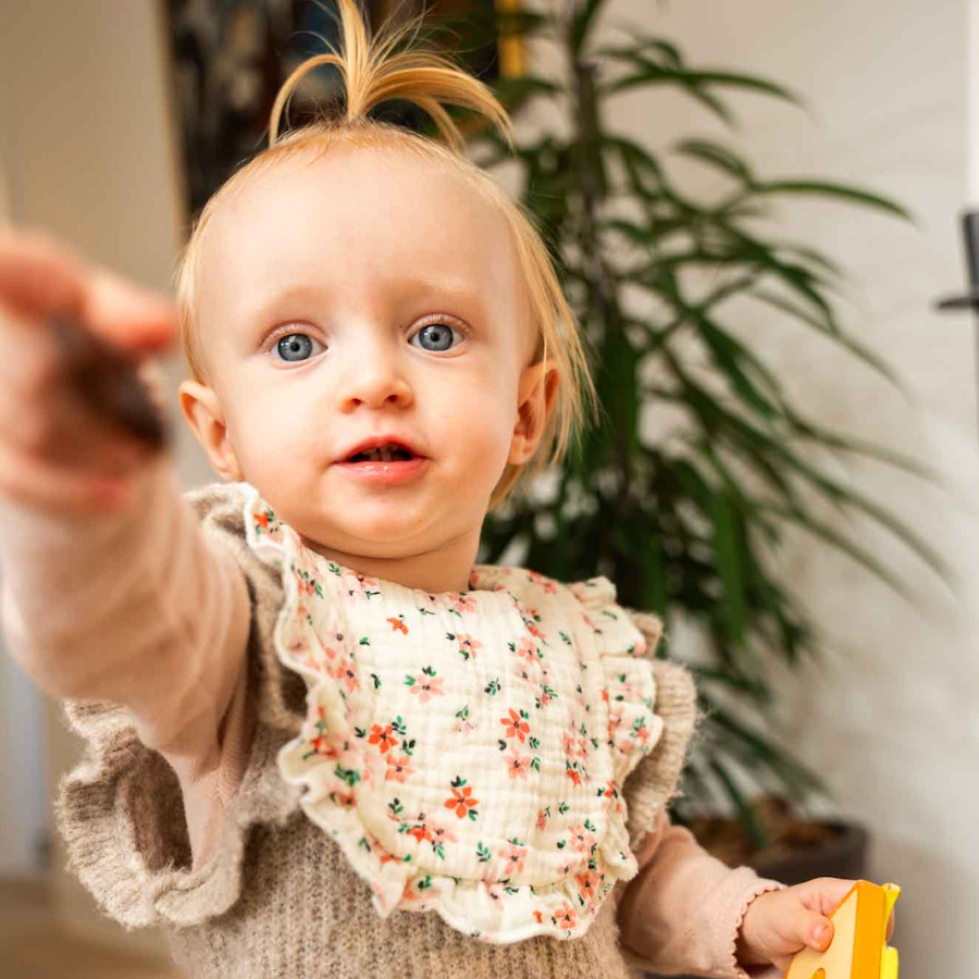 Blonde hagesmæk Røde og Lyserøde blomster